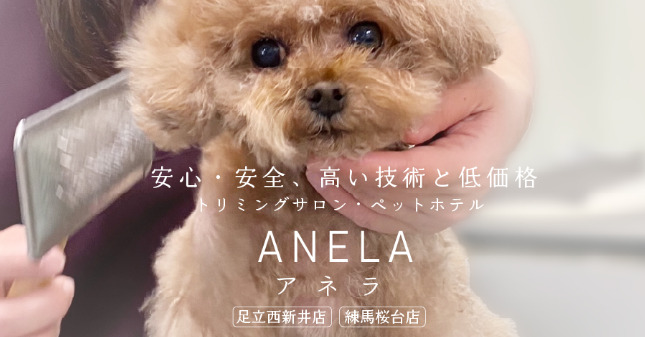 ANELA(アネラ)