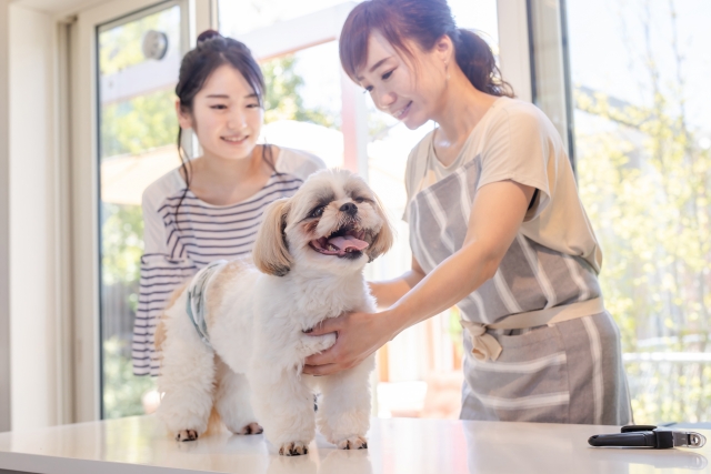 ペットシッターまとめ