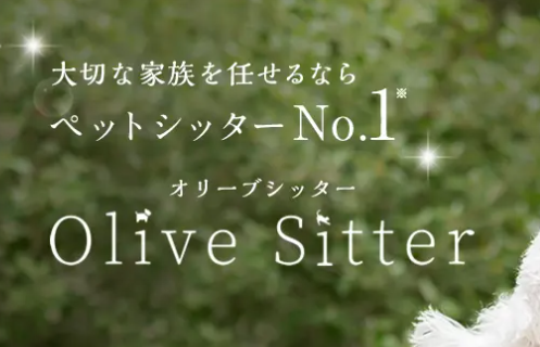 オリーブシッター