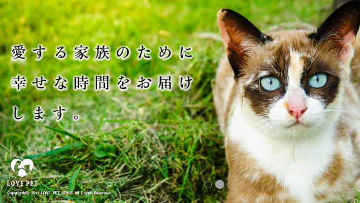 LOVE PET